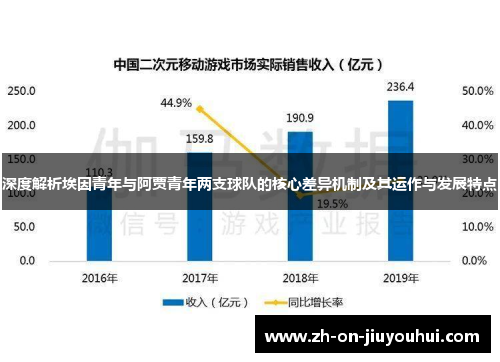 深度解析埃因青年与阿贾青年两支球队的核心差异机制及其运作与发展特点 深度解析埃因青年与阿贾青年两支球队的核心差异机制及其运作与发展特点