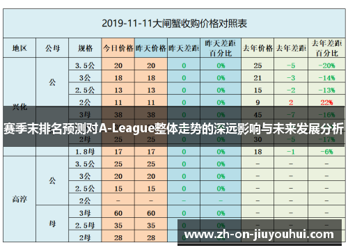 赛季末排名预测对A-League整体走势的深远影响与未来发展分析